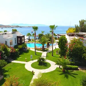 book here